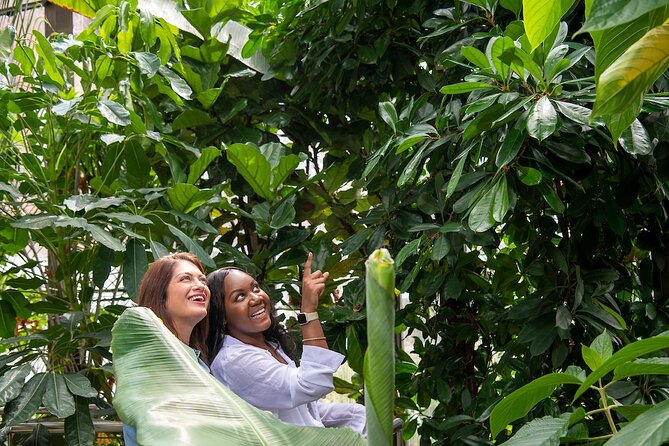 Bombay Sapphire Gin Distillery Tour and Cocktail - Who Should Book the Bombay Sapphire Tour?
