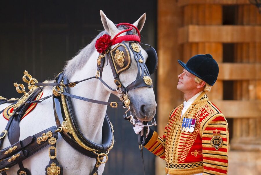 Buckingham Palace: The Royal Mews Entrance Ticket - Horses bring the ceremonial vehicles to life