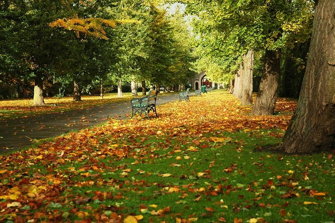 Cardiff Day Tour from London with Local Guide (Visit Wales) - Cardiff Bay: a waterside lunch break