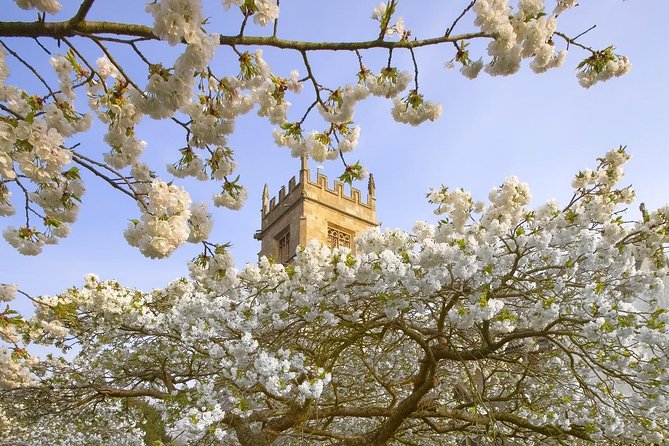 Cotswolds Small Group Tour from London - Who should book this Cotswolds day trip?