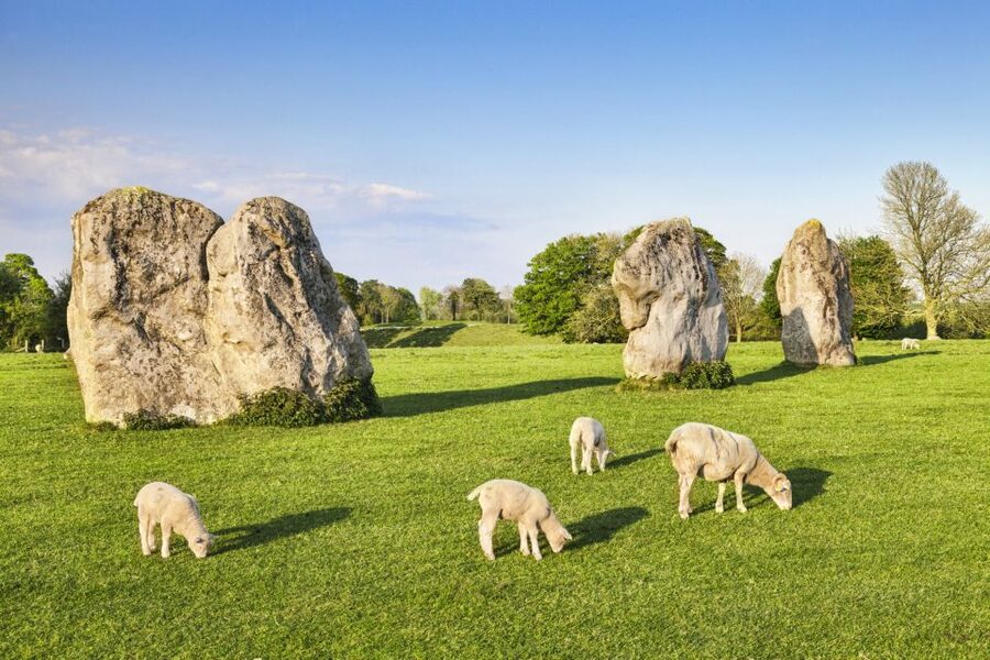 From London: Bath, Avebury and Lacock Village Day Trip - Key points to know before you go