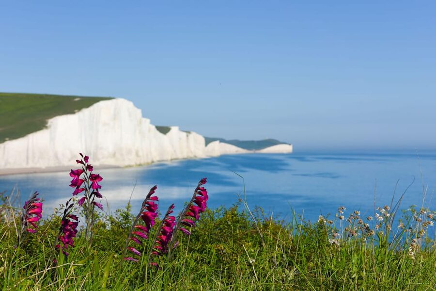 From London: Seven Sisters and Brighton Full-Day Tour - Birling Gap and the first cliff views