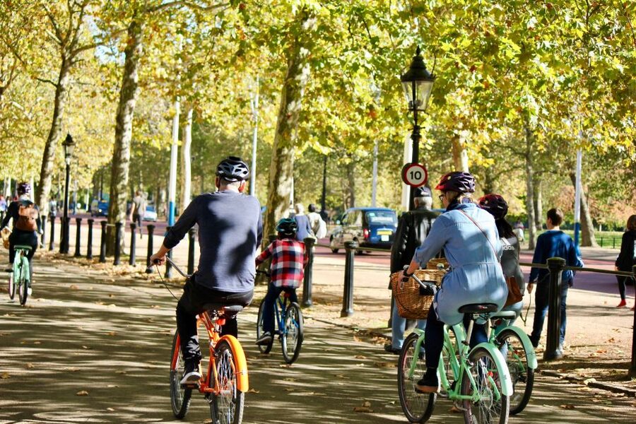 Grand London Half-Day Bicycle Tour - Westminster’s grand sights and quieter corners