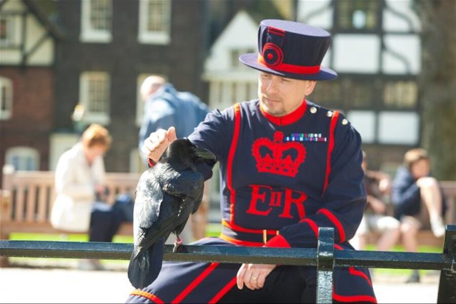 Hop on Hop off London Bus Tour & Tower of London - Choose a ticket length that fits your sightseeing pace