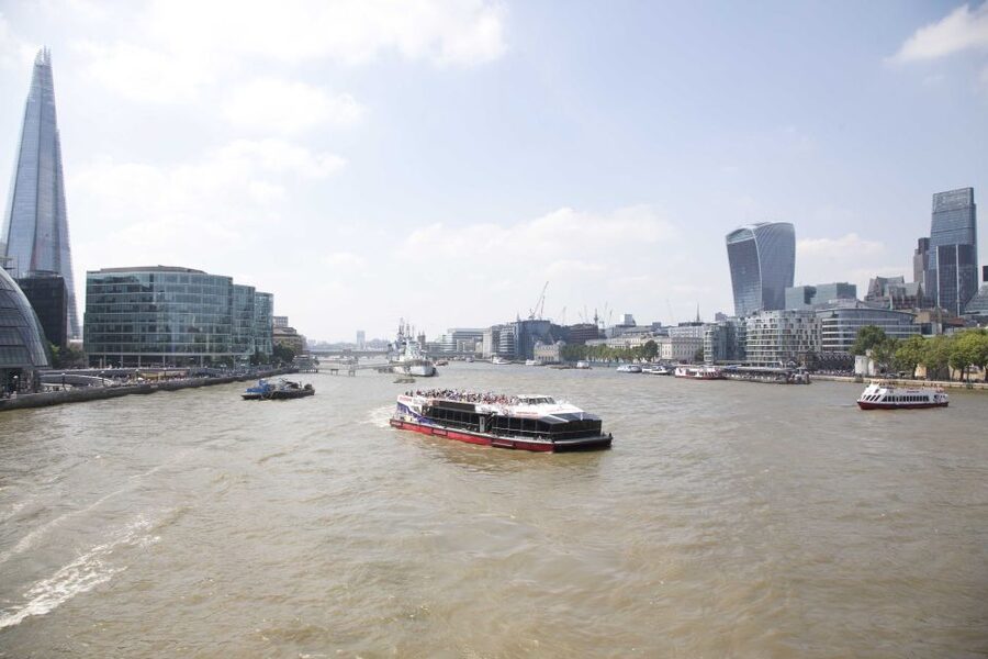 London: Afternoon Tea Cruise on the River Thames - Who will enjoy this cruise most