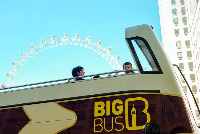 London Big Bus Hop-On Hop-Off Tour with Optional River Cruise - Who should book this London bus tour?