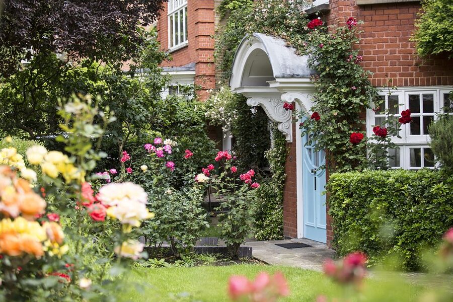 London: Freud Museum Entry Ticket - The garden: a quieter finish