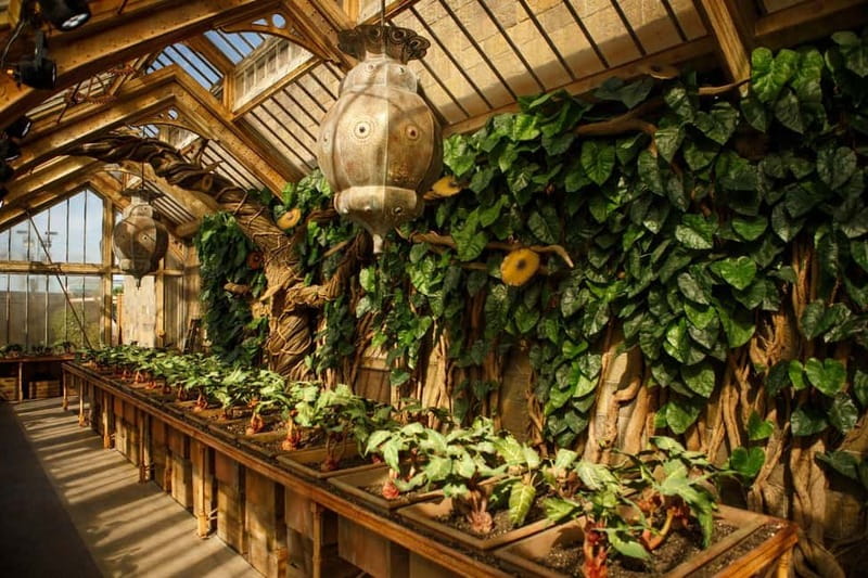 London: Harry Potter™ Studio Tour London & 4-Star Hotel Stay - Who should choose this package