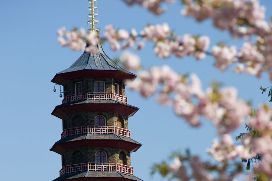 London: Kew Gardens Admission Ticket - Take the high path, then meet the bees