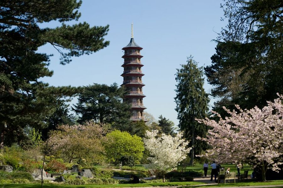 London: Kew Gardens Admission Ticket - Give the Arboretum more than a passing glance