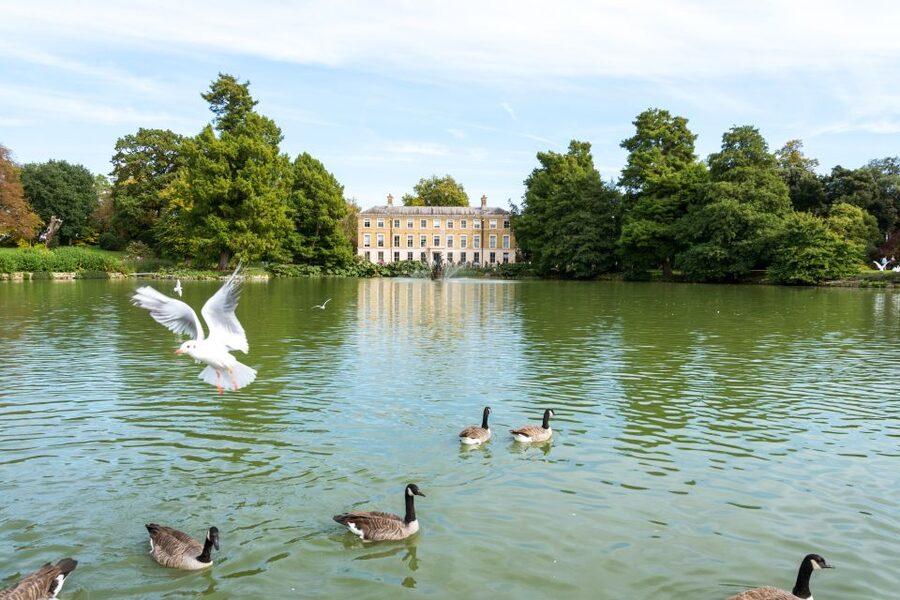 London: Kew Gardens Admission Ticket - Kew Palace adds a royal change of scale