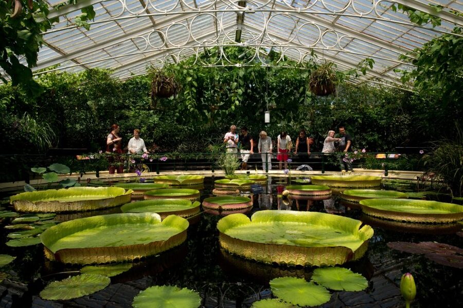 London: Kew Gardens Admission Ticket - Is the $32 ticket good value?