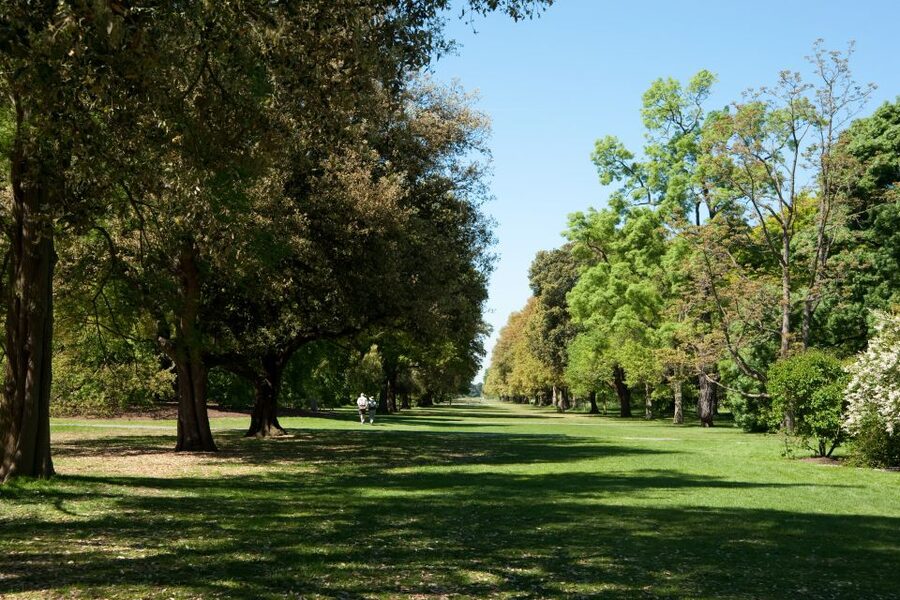 London: Kew Gardens Admission Ticket - Should you book Kew Gardens?