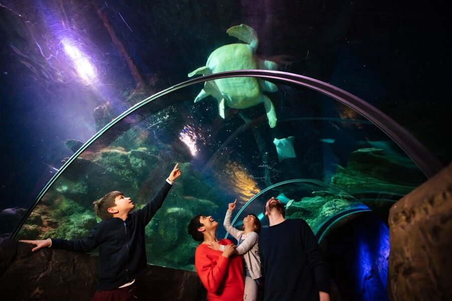 London: Madame Tussauds, London Eye & SEA LIFE Combo Ticket - Three London attractions, one flexible ticket