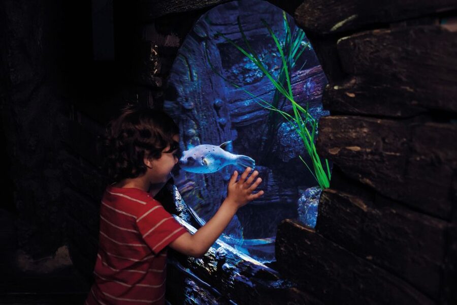 London: Madame Tussauds, London Eye & SEA LIFE Combo Ticket - Start at Madame Tussauds and take the red carpet