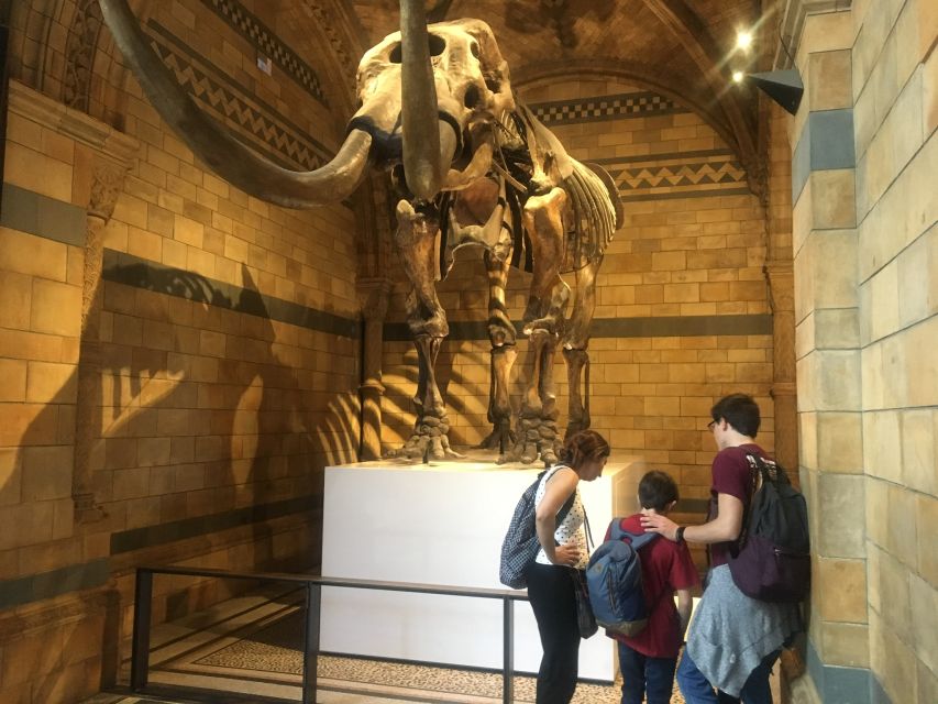 London: Natural History Museum Entry Ticket and Guided Tour - At a glance