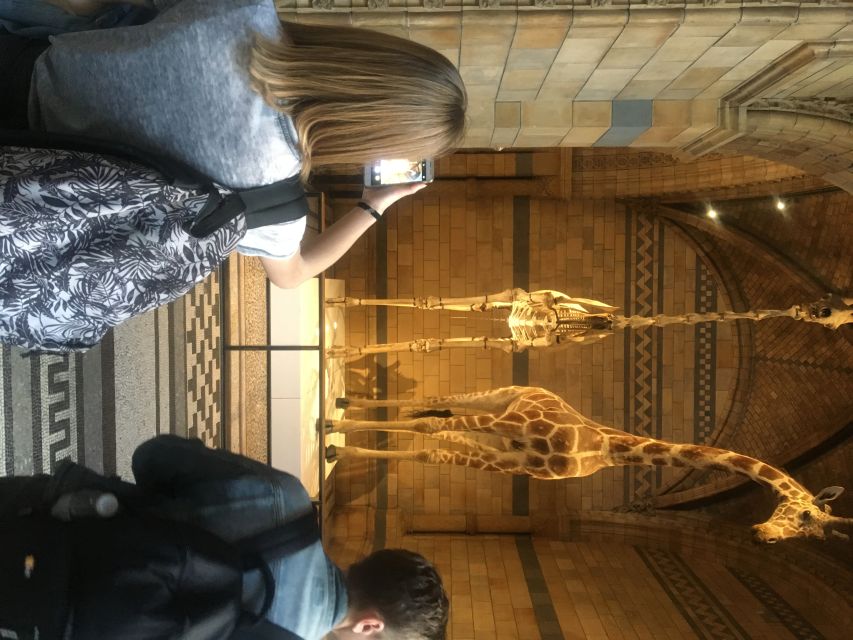 London: Natural History Museum Entry Ticket and Guided Tour - A fast introduction to a very large museum