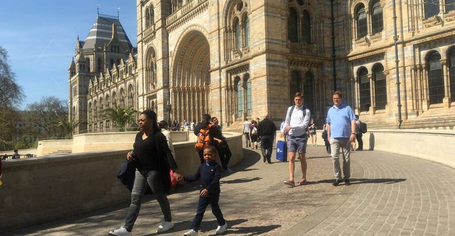 London: Natural History Museum Entry Ticket and Guided Tour - Evolution, butterflies and minerals