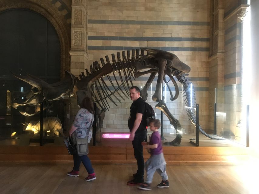 London: Natural History Museum Entry Ticket and Guided Tour - Is $76 worth it for an hour?
