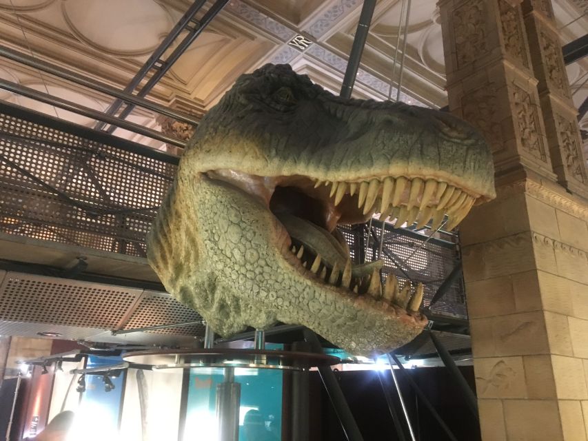 London: Natural History Museum Entry Ticket and Guided Tour - Meeting point, timing and what is included