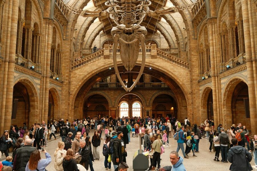 London: Natural History Museum Guided Tour - At a glance