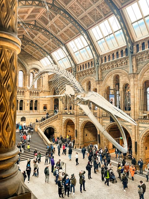 London: Natural History Museum Guided Tour - A practical route through a very large museum