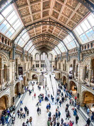 Natural History Museum Guided Tour
