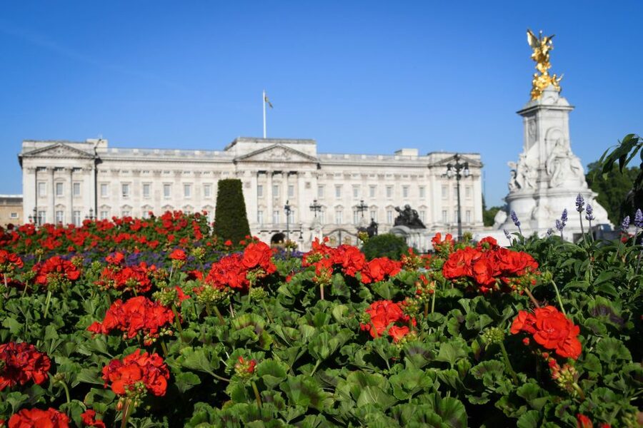 London: Palaces and Parliament Walking Tour - Pace, comfort and what the price covers
