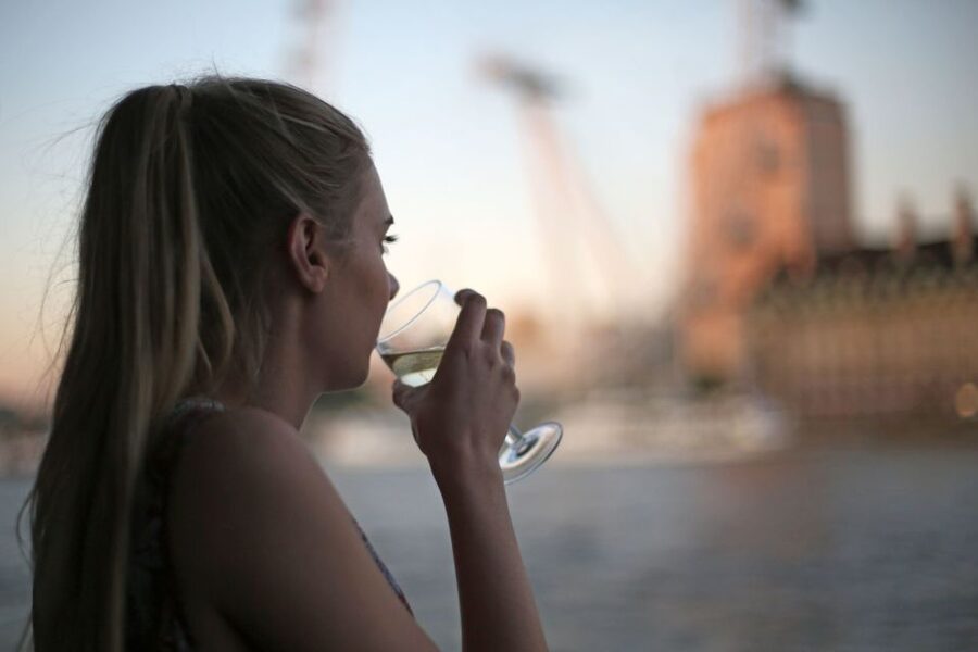 London: River Thames Evening Cruise with Bubbly and Canapés - A few practical points before you book