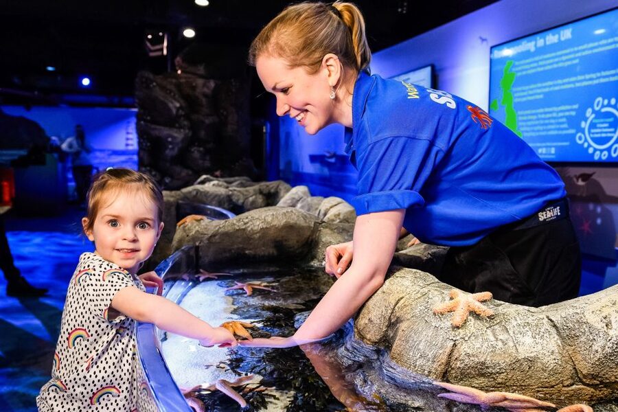 London: SEA LIFE Entry Ticket - A London Aquarium With More Than Fish Tanks