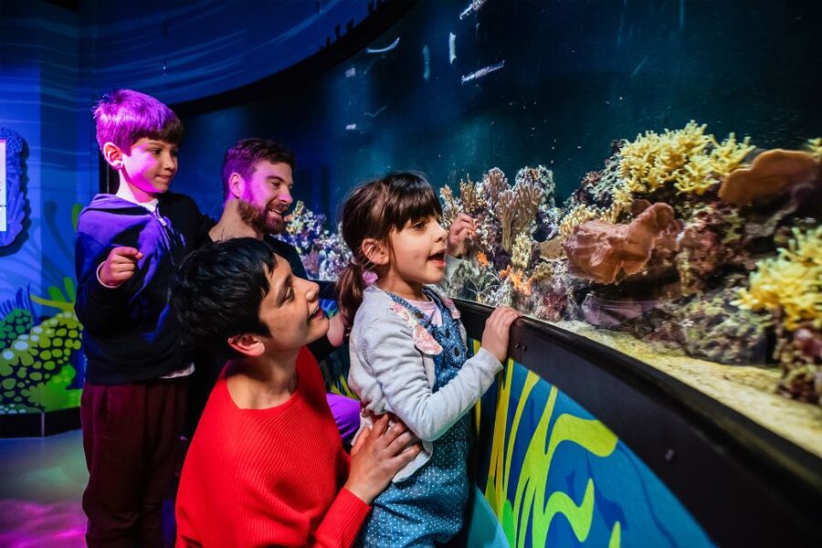 London: SEA LIFE Entry Ticket - Ranger Andy’s Amazon Rainforest