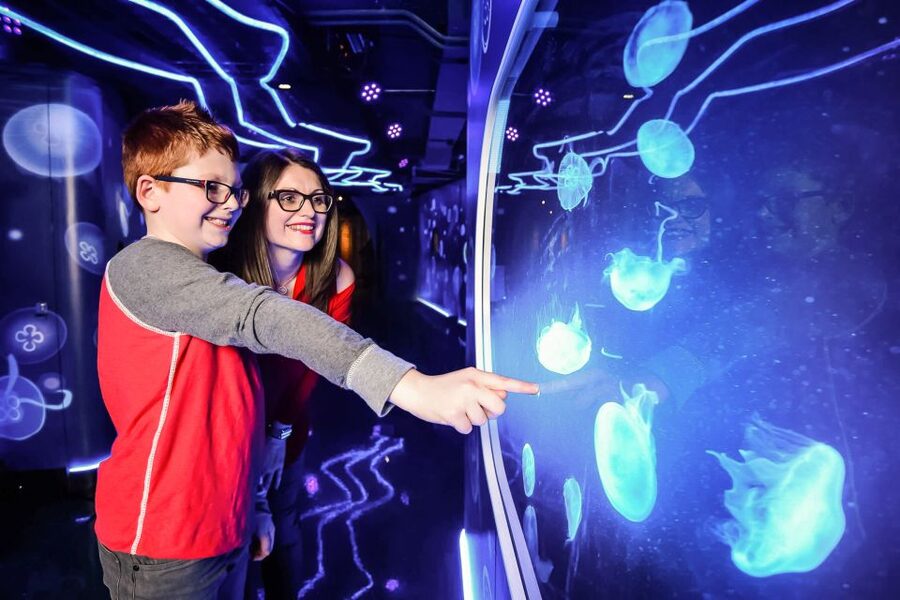 London: SEA LIFE Entry Ticket - Timed Entry, Access and Family Rules