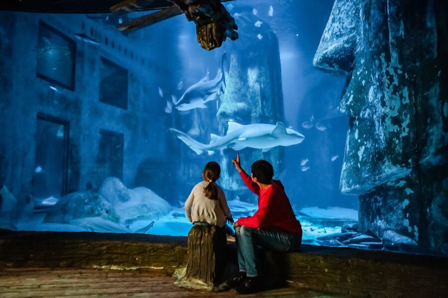 London: SEA LIFE Entry Ticket - Tropical Waters and the Shark Walkway