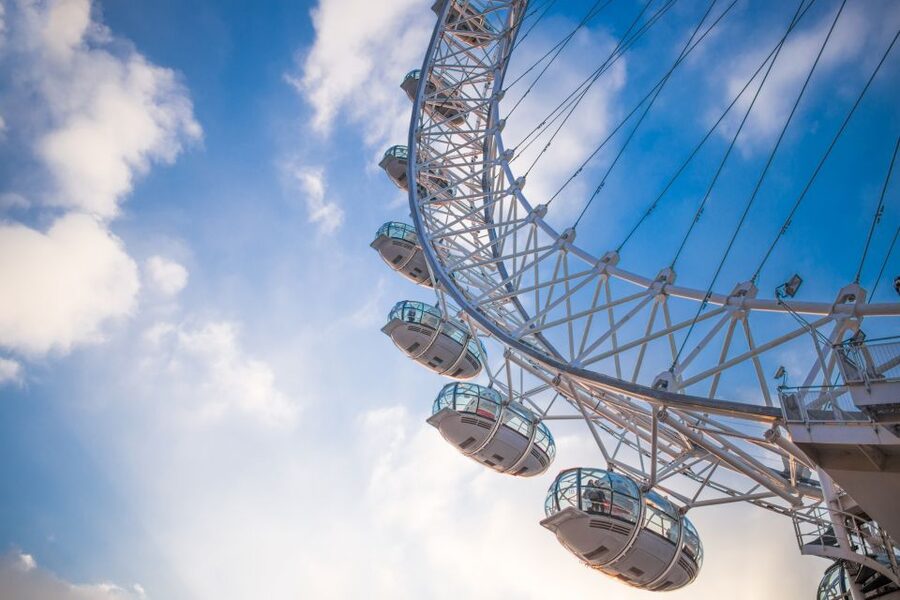 London: SEA LIFE & London Eye Combo Ticket - Who will get the most from this combo?