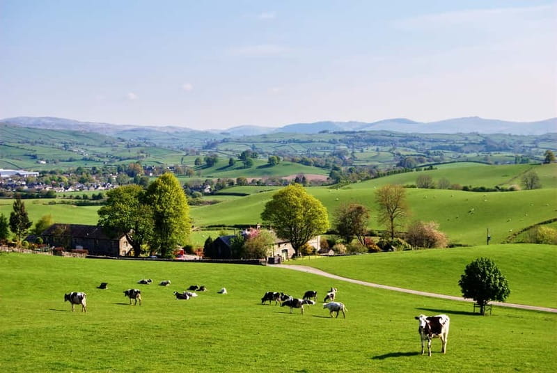 London: Small Group Canterbury, Dover & Kent Villages Tour - Who should book this Kent day trip