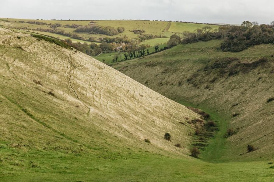 London: South Downs White Cliffs Day Trip with Train Tickets - What makes this day trip worth considering