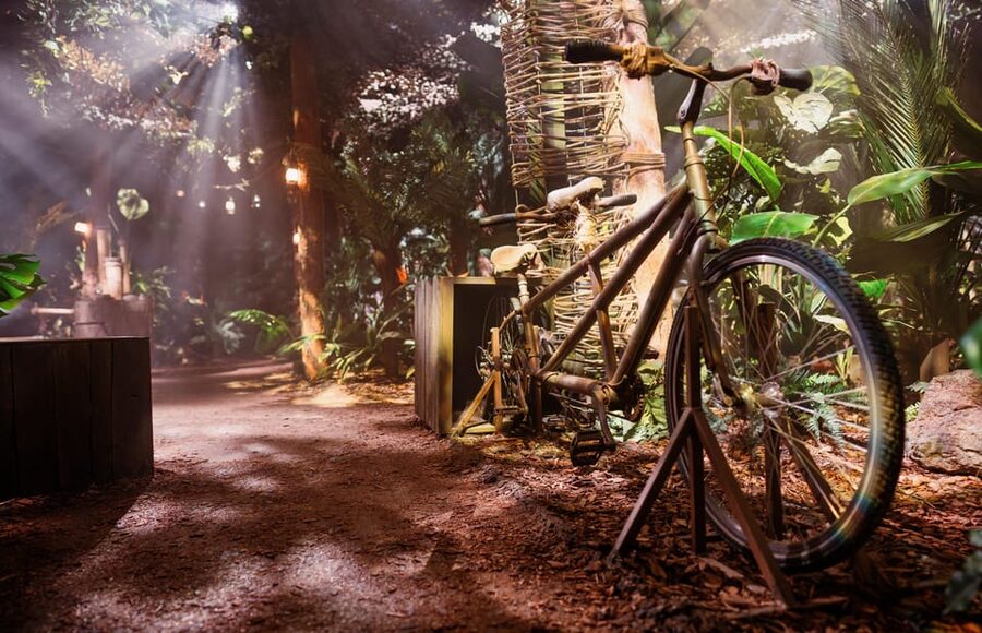 London: The Paddington Bear Experience - FAQ