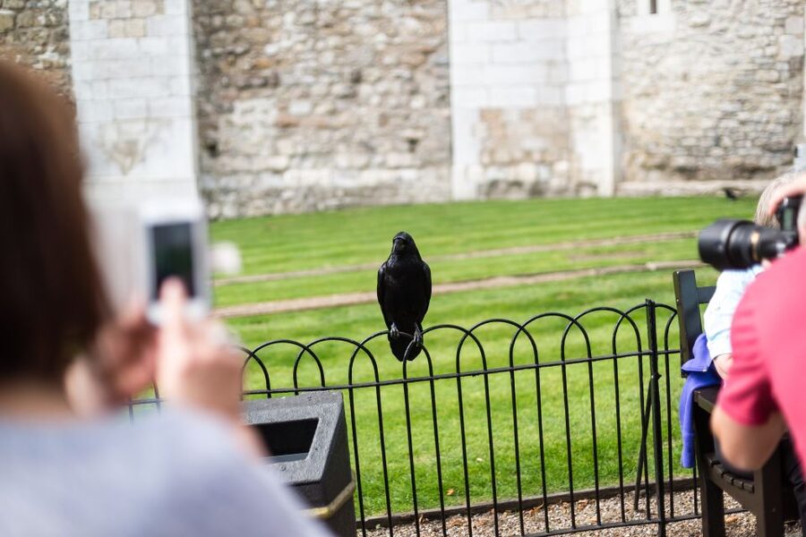 London: Tower of London Tour with Crown Jewels & Beefeaters - Ravens, Traitors’ Gate and royal executions