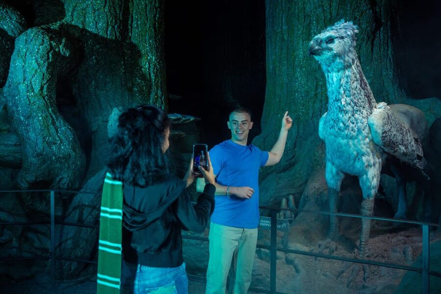 London: Warner Bros. Studio Harry Potter Tour with Transfers - Who should book this tour?