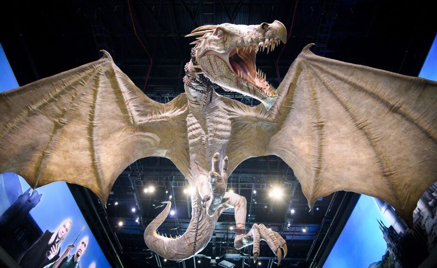 London: Warner Bros. Studio Tour with Return Transportation - Should you book it?