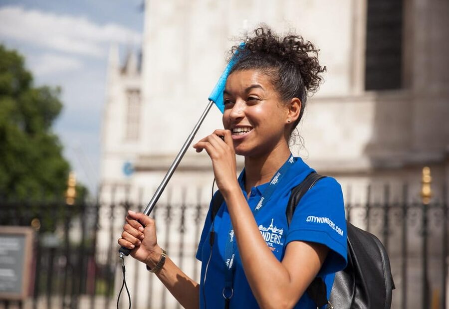 London: Westminster Abbey Priority Access & Guided City Tour - A brisk introduction to royal and political London