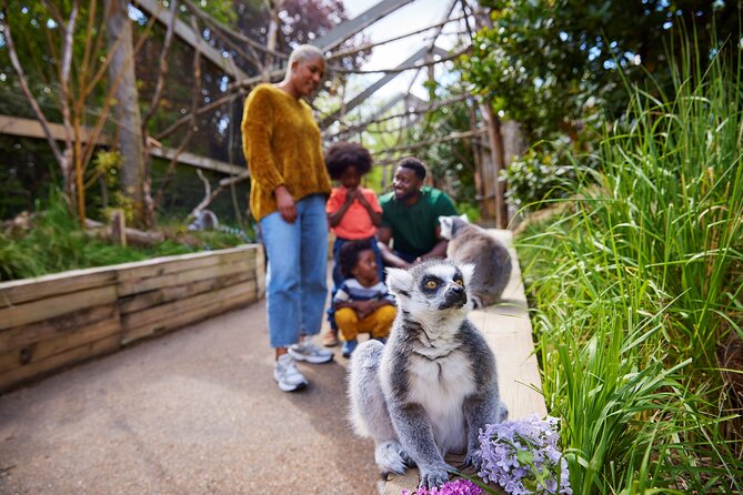 London Zoo Entry Ticket - Land of the Lions brings the scale