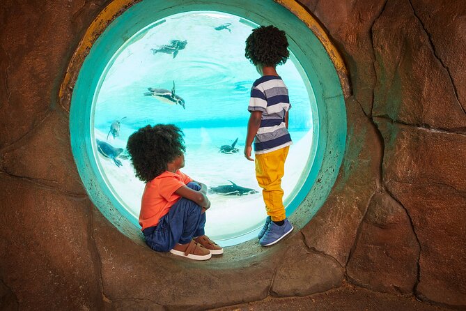 London Zoo Entry Ticket - Penguins, giraffes and gorillas round out the route