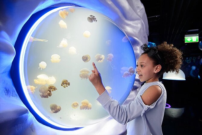 SEA LIFE London Aquarium Admission Ticket - Start beneath the Atlantic