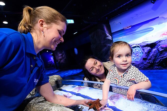 SEA LIFE London Aquarium Admission Ticket - Walk above the sharks in the Pacific zone