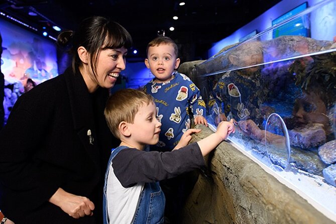 SEA LIFE London Aquarium Admission Ticket - Enter the Rainforest Adventure
