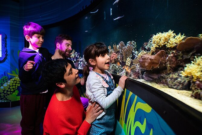SEA LIFE London Aquarium Admission Ticket - Should you book SEA LIFE London?