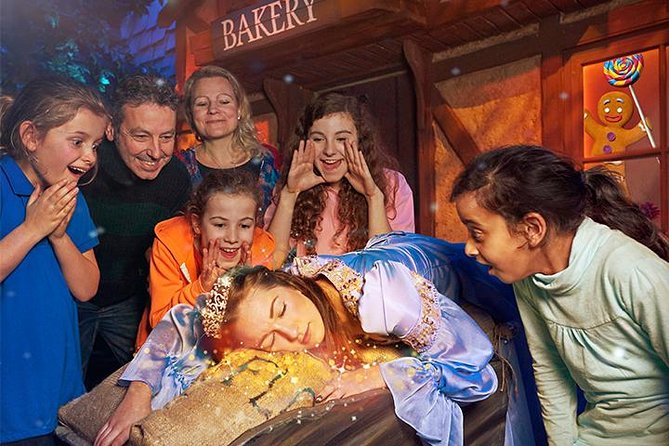 Shrek's Adventure! London Entrance Ticket - Timing, queues, and a smoother visit