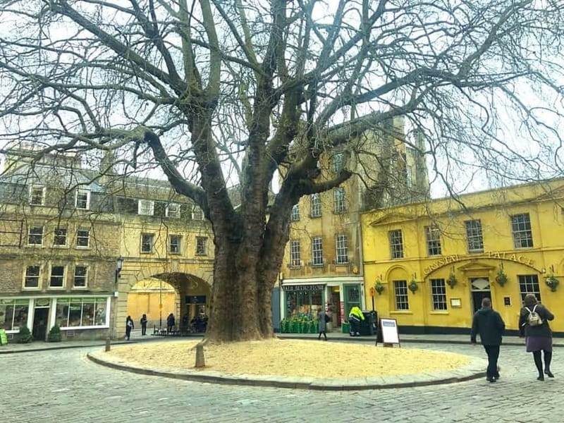 Stonehenge, Bath, Windsor and Roman Baths London Day Tours - Should you book this day trip?