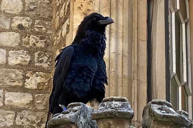 The Tower of London - Small Group Tour with a Local Expert - How the guide can shape your afternoon